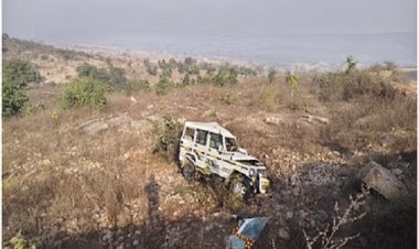 14 फीट नीचे खाई में गिरी बोलेरो, चार की मौत, चार गंभीर