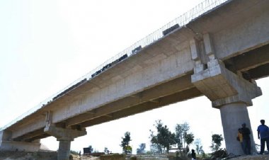 कलेक्टर एवं एसपी ने पांगन नदी पर बन रहे उच्चस्तरीय पुल निर्माण कार्य का लिया जायजा