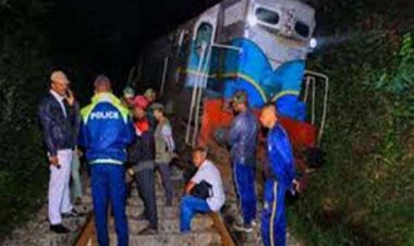 श्रीलंका में ट्रेन से टकराने से छह जंगली हाथियों की मौत