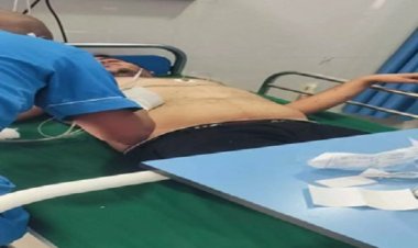 दर्शन करने पहुंचे श्रद्धालुओं पर मधुमक्खियों ने किया हमला, 10 गंभीर