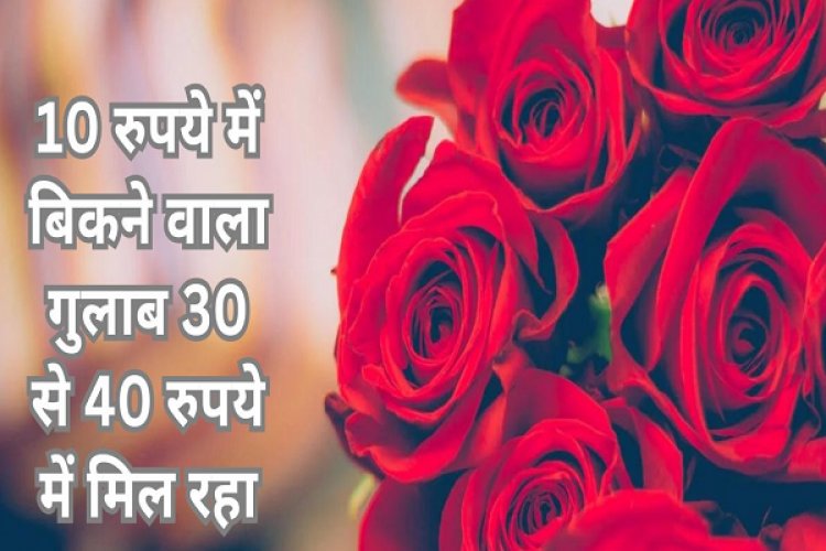वैलेंटाइन डे पर खिला प्यार, गुलाब के दामों में आया जबरदस्त उछाल
