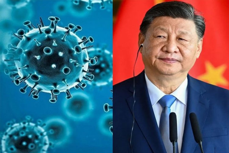 चीन में मिला नया बैट कोरोनावायरस, इंसानों में फैलने की आशंका