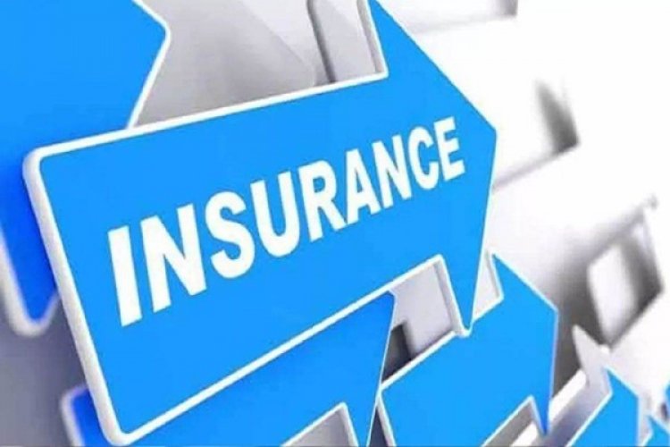 बीमा अफसर समझ ठग को दो साल तक रुपये देती रही प्रोफेसर, 96 लाख रुपये गंवाए