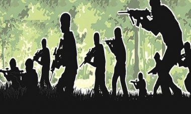 सुकमा के किस्टाराम में एनकाउंटर, दो हार्डकोर नक्सली मारे गए... हथियार भी बरामद