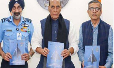 वायु सेना की क्षमता बढ़ाने के लिए मिलकर काम करें