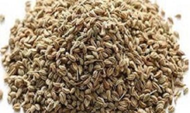 औषधीय गुणों से भरपूर है अजवाइन