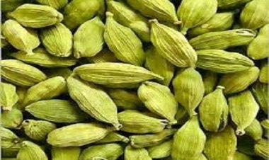 एक दिन में चबाएं इलायची के इतने दाने...