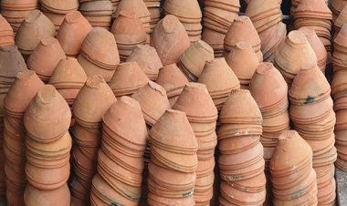 भीषण गर्मी में पक्षियों की मदद के लिए मनोहरा में मिल रहे निशुल्क मिट्टी के पात्र