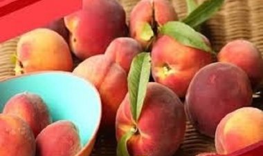 गर्मियों के मौसम में जरूर खाएं पोषक तत्वों से भरपूर आड़ू