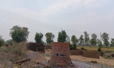 किसकी शह पर चल रहे जिले में अवैध ईंट भट्टे