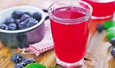 3 हेल्दी वेट लॉस ड्रिंक्स ट्राई करके देखें