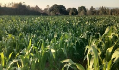 किसानों को मिल रहा योजनाओं का लाभ