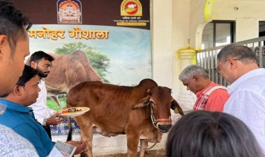 मनोहर गौशाला पहुंचे राज्य गौसेवा आयोग अध्यक्ष, कहा: यह स्थान अद्वितीय