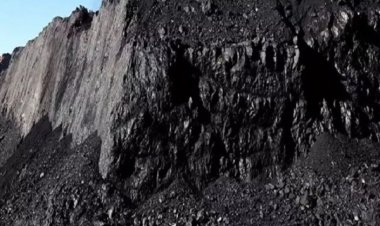 कोयला खदान धसने से 2 युवकों की मौत