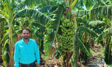 कुण्डेल के सुरेश को केले की खेती ने दिलाई अलग पहचान