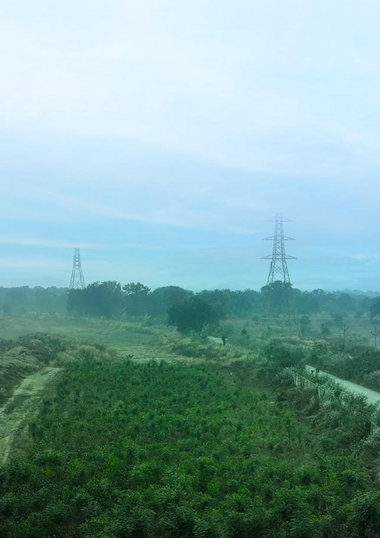 जैव विविधता दिवस पर वेदांता एल्युमीनियम ने अपने प्रचालन में वन्यजीवों की सुरक्षा और पर्यावासों को बहाल करने के लिए कई पहलों की घोषणा की