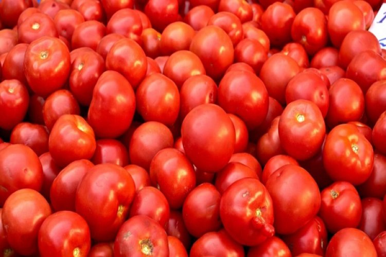 धमधा के किसानों ने पाकिस्तान भेजना बंद किया टमाटर, राष्ट्रहित में संकल्प