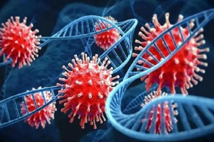 रायपुर के बाद दुर्ग में भी मिला एक कोरोना संक्रमित