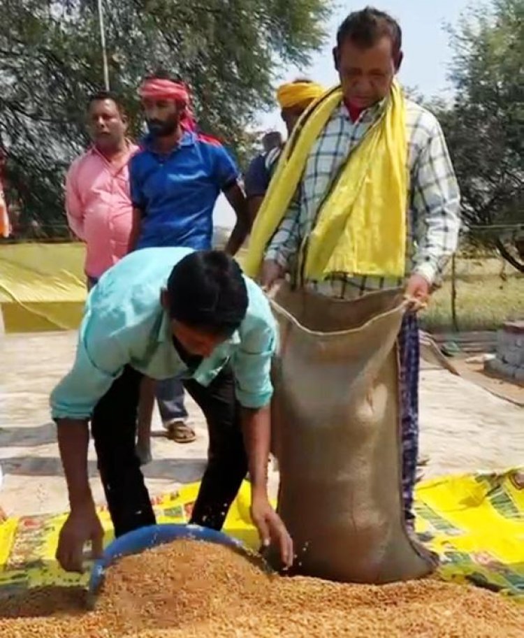 धान नहीं चना की खेती से मुनाफा, फसल चक्र परिवर्तन से किसानों को फायदा