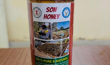 कोरिया का जैविक ‘सोनहनी‘ शहद अब ऑनलाइन उपलब्ध