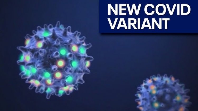 कोरोना के नए वेरिएंट XFG ने बढ़ाई चिंता, राज्य सरकार ने जारी की एडवाइजरी