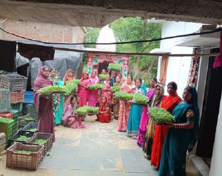 जिला पंचायत रायपुर की नई पहल : MKSP योजना के तहत 20 गाँवो को मिलेगा लाभ