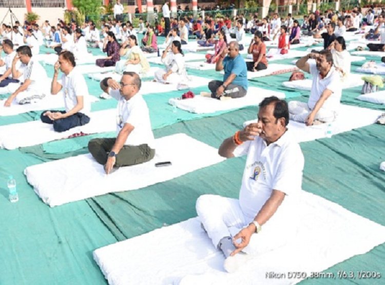 सांसद के मुख्य आतिथ्य में योगाभ्यास किया गया