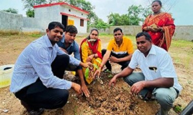 पीएम आवास योजना हितग्राहियों के घरों के सामने वृक्षारोपण