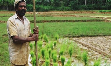 खाद आपूर्ति को लेकर जिले में नहीं कोई समस्या, समिति से किसानों को मिल रहा पर्याप्त खाद