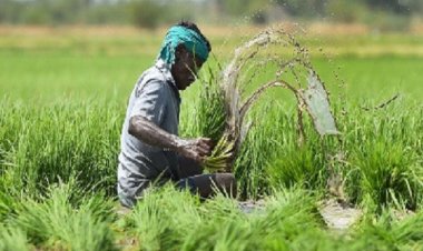 कृषक उन्नति योजना: किसानों को मिलेगी प्रति एकड़ 10 हजार की प्रोत्साहन राशि