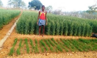 कृषक उन्नति योजना से किसानों को मिलेगी आदान सहायता