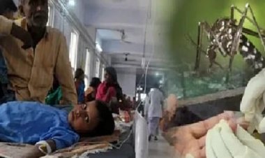बस्तर में जापानी बुखार का कहर: 2 बच्चों की मौत, 19 मामले, प्रशासन अलर्ट