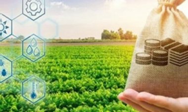 फसल बीमा कराने आज से समितियों में लगेंगे शिविर