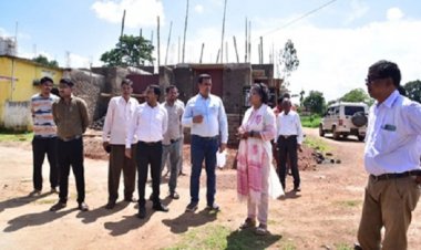 कलेक्टर ने निर्माण कार्यों का लिया जायजा