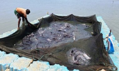 छत्तीसगढ़ में फिशरीज के नये युग की शुरूआत