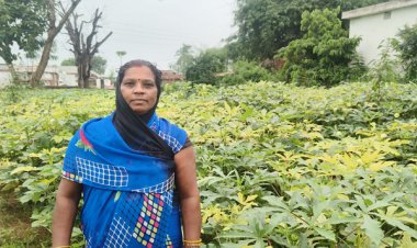 आधुनिक खेती व मेहनत में केतकी बाई को बनाया लखपति दीदी