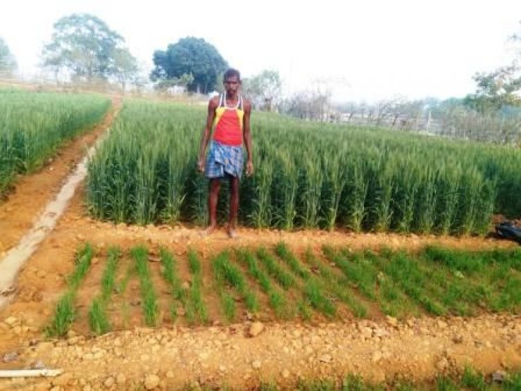 कृषक उन्नति योजना से किसानों को मिलेगी आदान सहायता