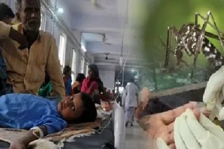 बस्तर में जापानी बुखार का कहर: 2 बच्चों की मौत, 19 मामले, प्रशासन अलर्ट