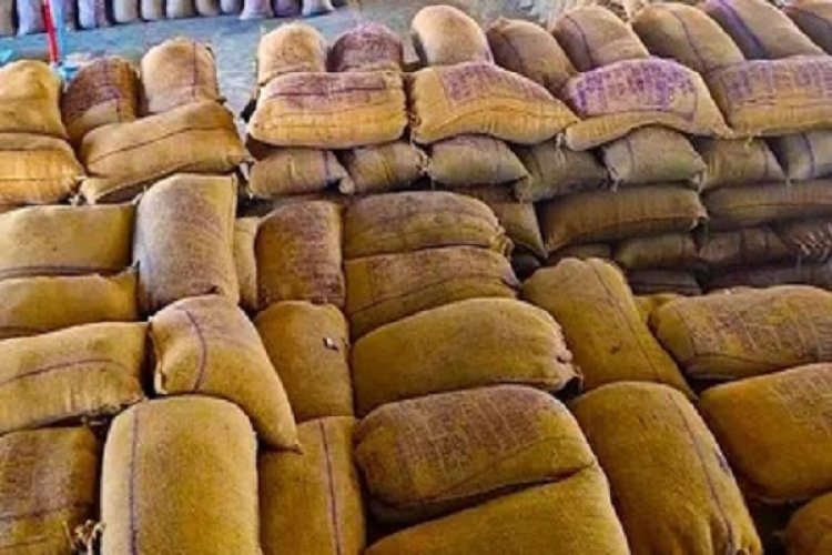 धान खरीदी : 1.23 लाख कृषकों का पंजीयन पूर्ण, पारदर्शी खरीदी प्रक्रिया की ओर बड़ा कदम