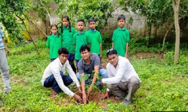 तिल्दा के स्कूलों में 500 पौधों का रोपण: हरियर पाठशाला को मिली नई ऊर्जा