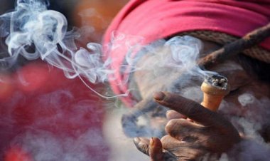 अब गांजा पीने वाले भी जाएंगे जेल, रायपुर पुलिस ने शुरू की कार्रवाई