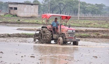 खरीफ वर्ष 2024 में 2733 किसानों को मिला 6.21 करोड़ रूपए का फसल बीमा