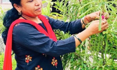 महाराष्‍ट्र मंडल ने रक्षाबंधन से पहले मनाया वृक्षाबंधन