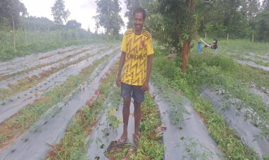 आधुनिक बागवानी व सब्जी उत्पादन से बदल रही है आदिवासी किसानों की तकदीर