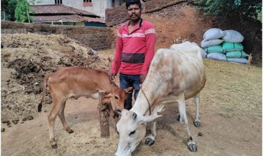 डेयरी उद्यमिता विकास योजना से सुखसागर को मिला आर्थिक स्वावलंबन