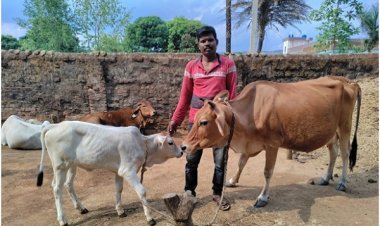 डेयरी उद्यमिता विकास योजना से सुखसागर की जिंदगी में आया बदलाव