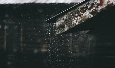 प्रदेश में अब तक 855.0 मि.मी. औसत वर्षा दर्ज