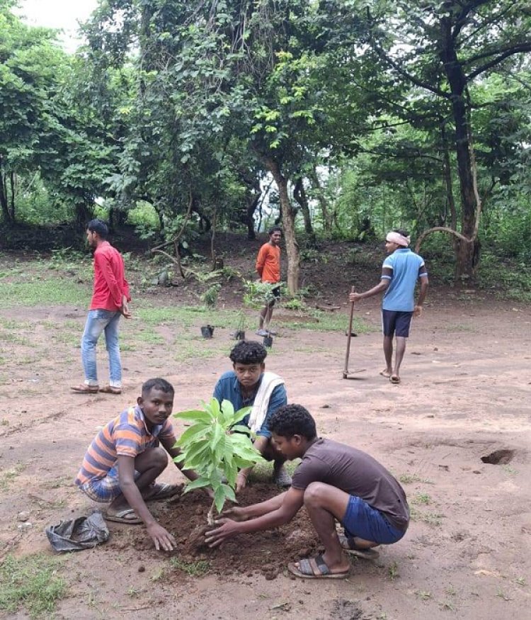 तिरिया में प्राकृतिक पर्यटन और आजीविका संवर्धन का नया मॉडल