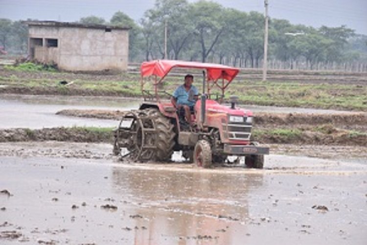 खरीफ वर्ष 2024 में 2733 किसानों को मिला 6.21 करोड़ रूपए का फसल बीमा