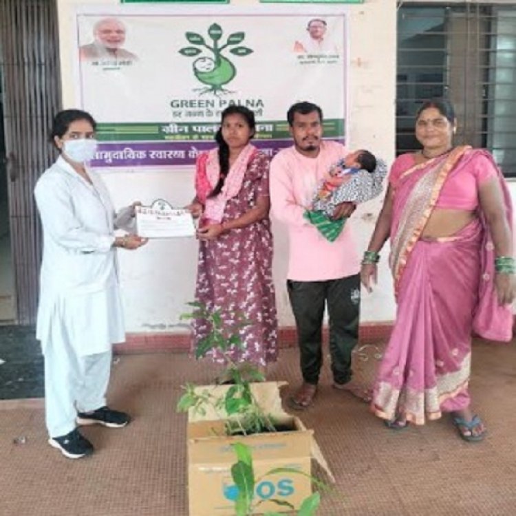 बच्चों के जन्म पर माताओं को फलदार पौधों की भेंट